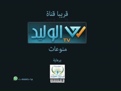 Al Walid TV